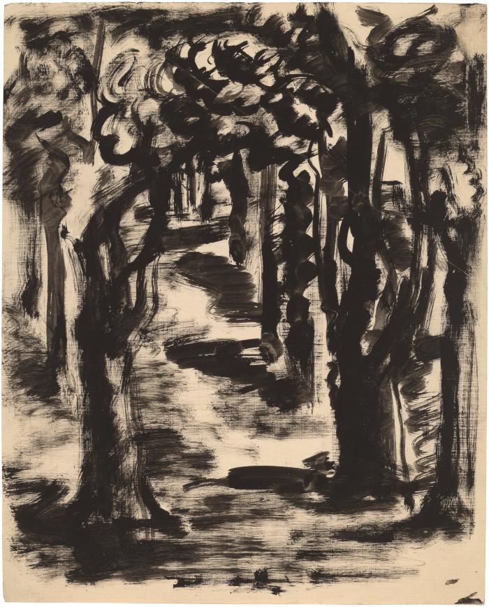 [Forest interior]